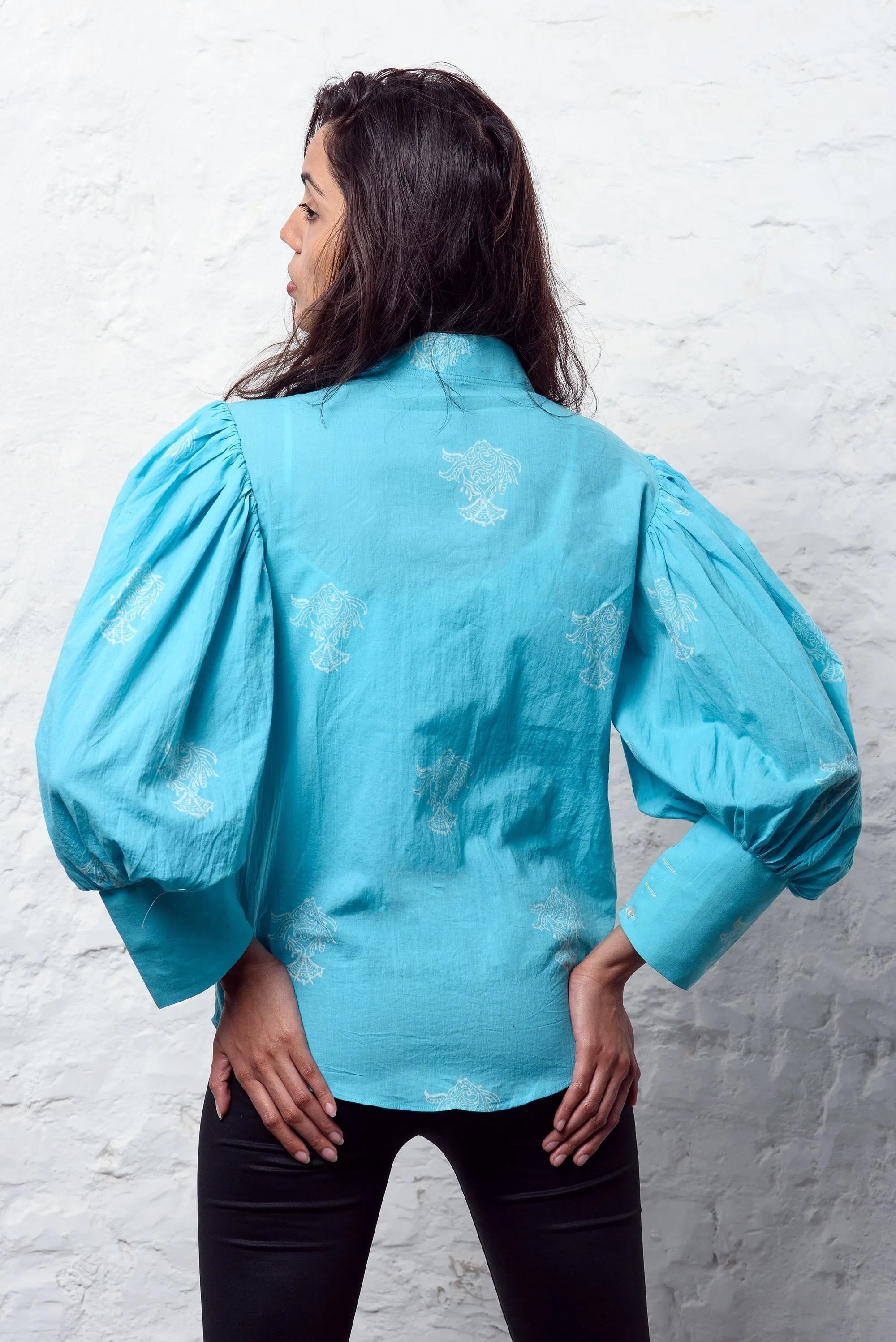 Fish Balloon Sleeves Top