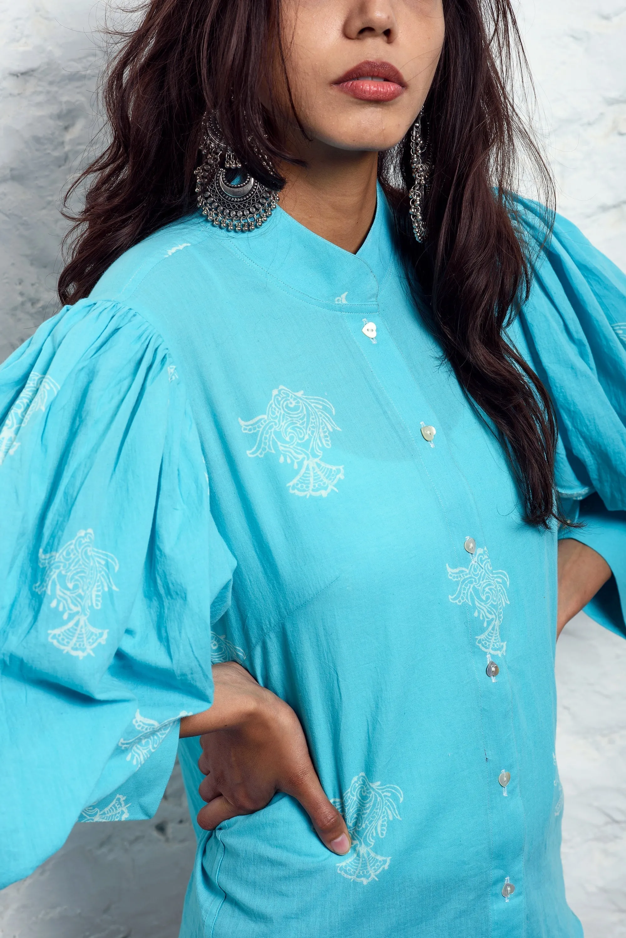 Fish Balloon Sleeves Top